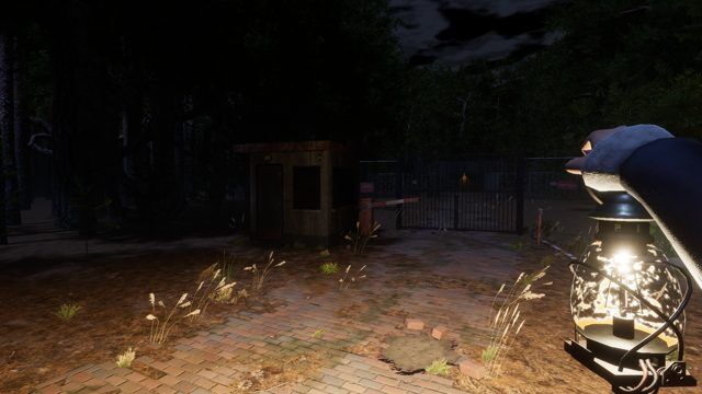 The forest road to the guard post, lit only by Harper’s lantern.